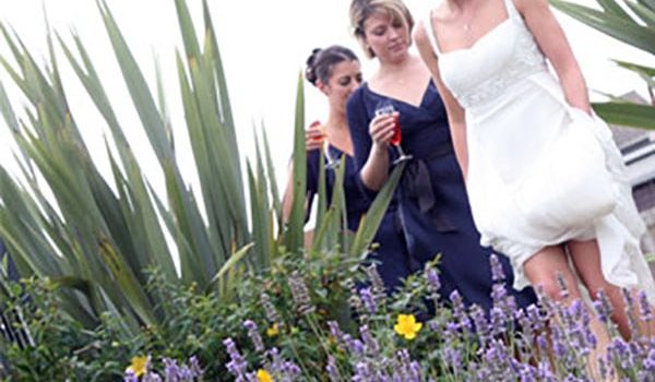 bridal party at porth