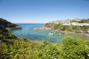 harbour scene at Port Isaac