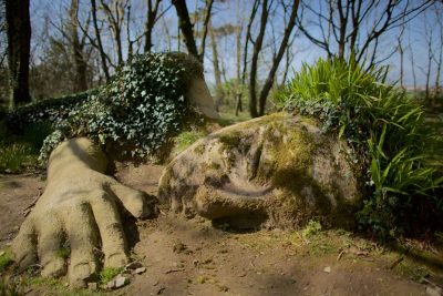 close up of mud maid head