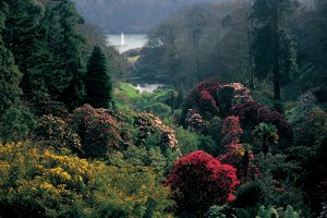 view through the valley