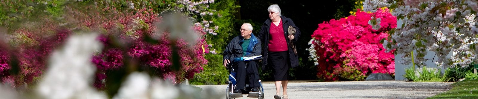 wheelchair user and companion in gardens