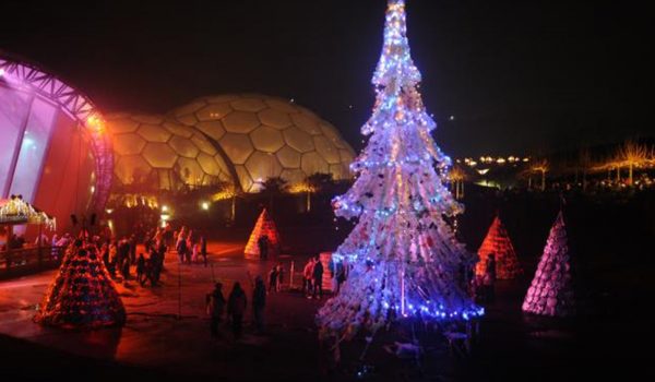 christmas tree at eden