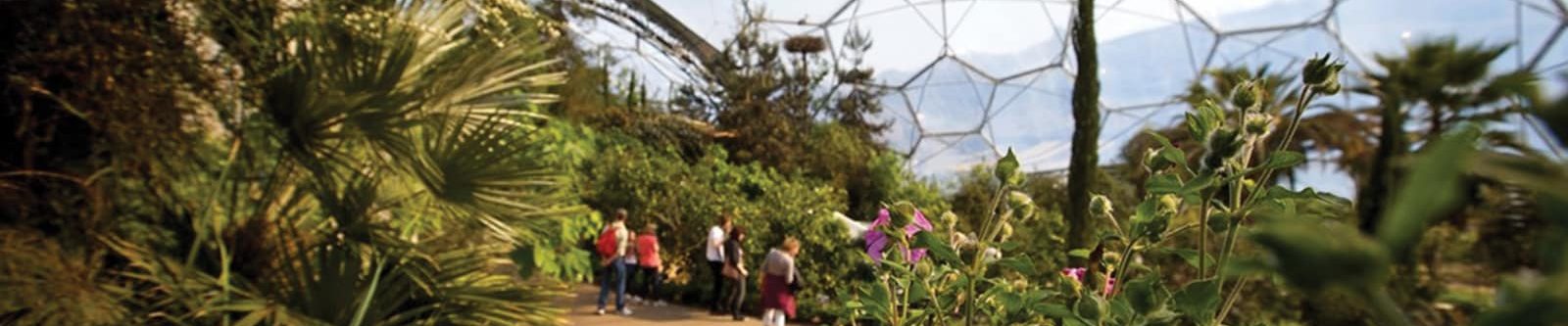 Inside the Mediterranean biome