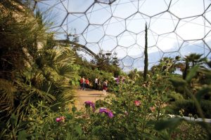 Inside the Mediterranean biome