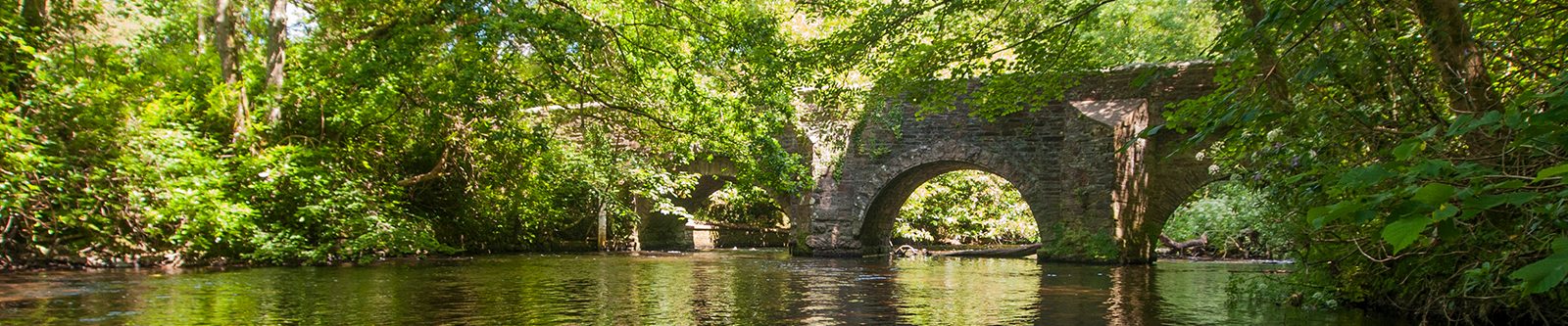 Fowey river