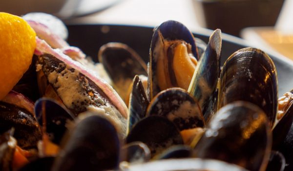 Close up of cooked mussels