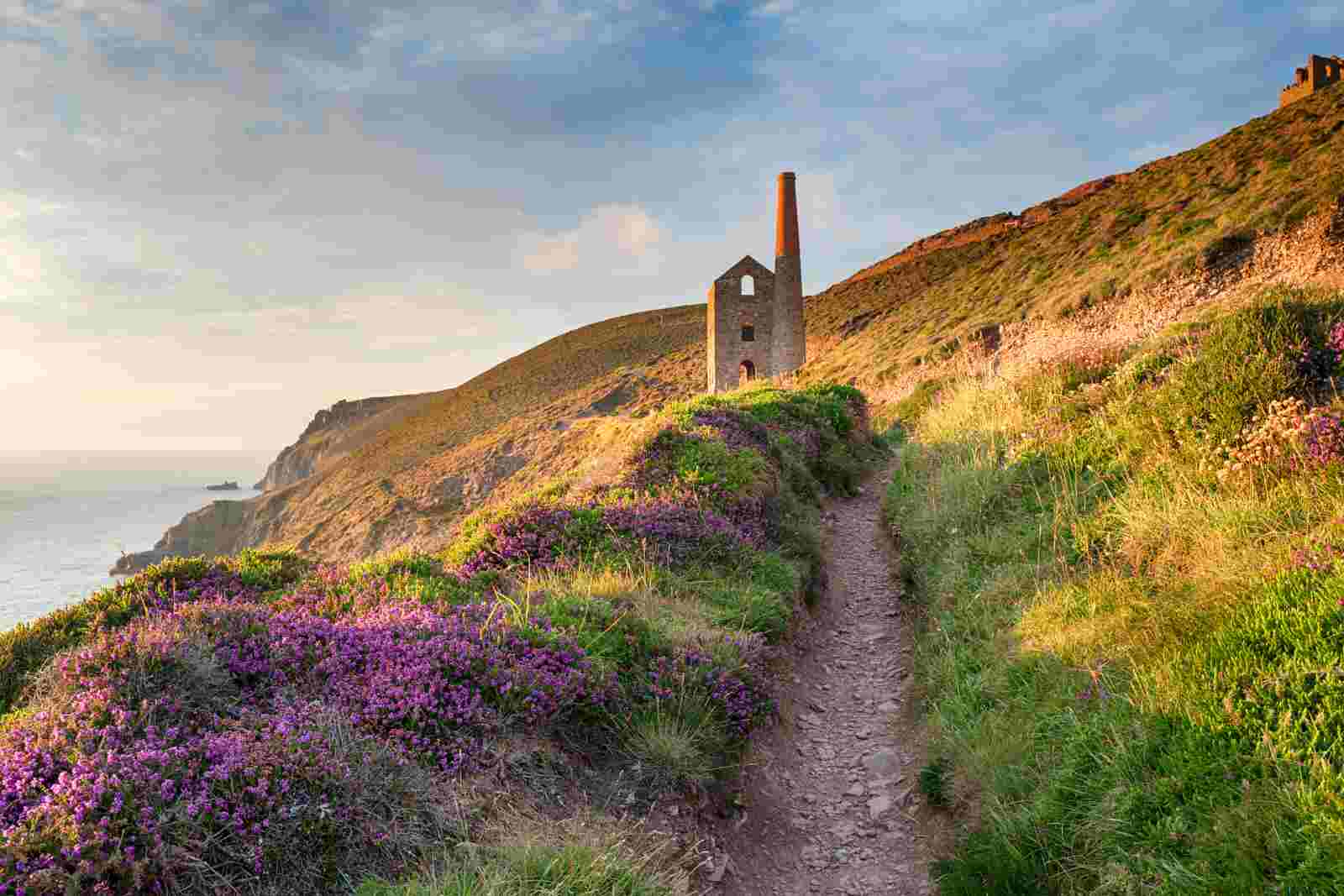 Summer on the Coast Path
