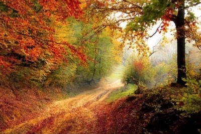 Antony in autumn