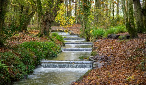 Cataracts in Tehidy Woods in the autumn