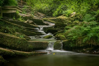 St Nectan's Glen