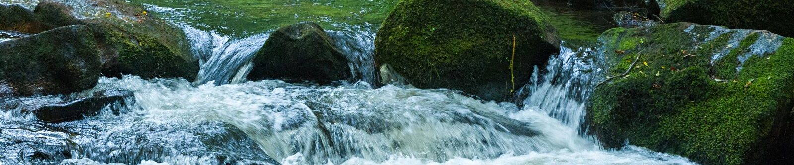 Golitha Falls